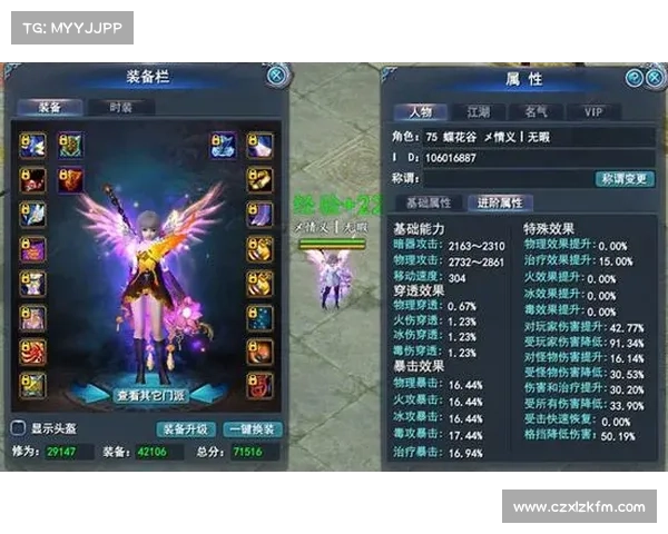 武魂玄冰加点秘笈如何在平衡输出与防御中找到最佳策略 武魂玄冰加点秘笈如何在平衡输出与防御中找到最佳策略