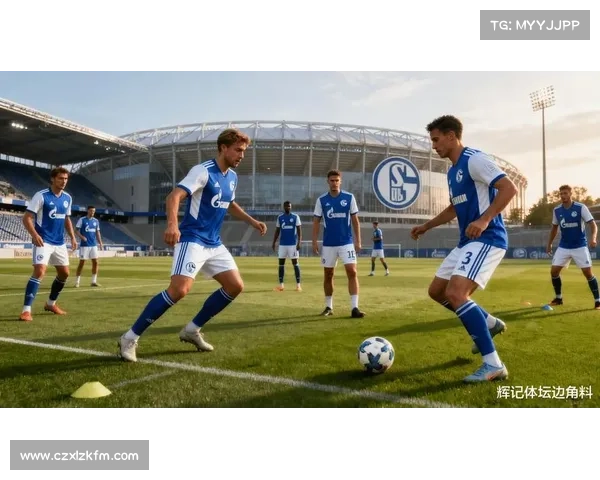 如何深入分析法尔范在沙尔克04的场上位置与角色发挥