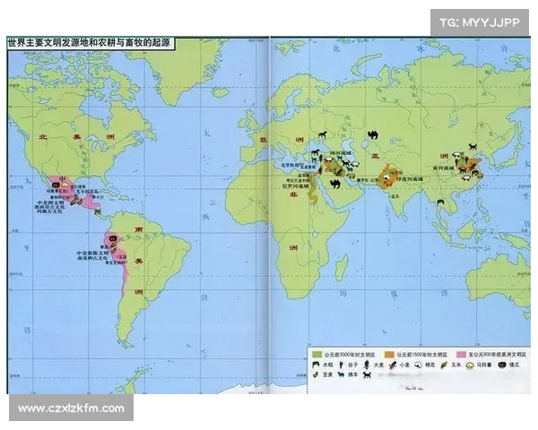 布克比赛风格与个人特色演变的历程与影响分析
